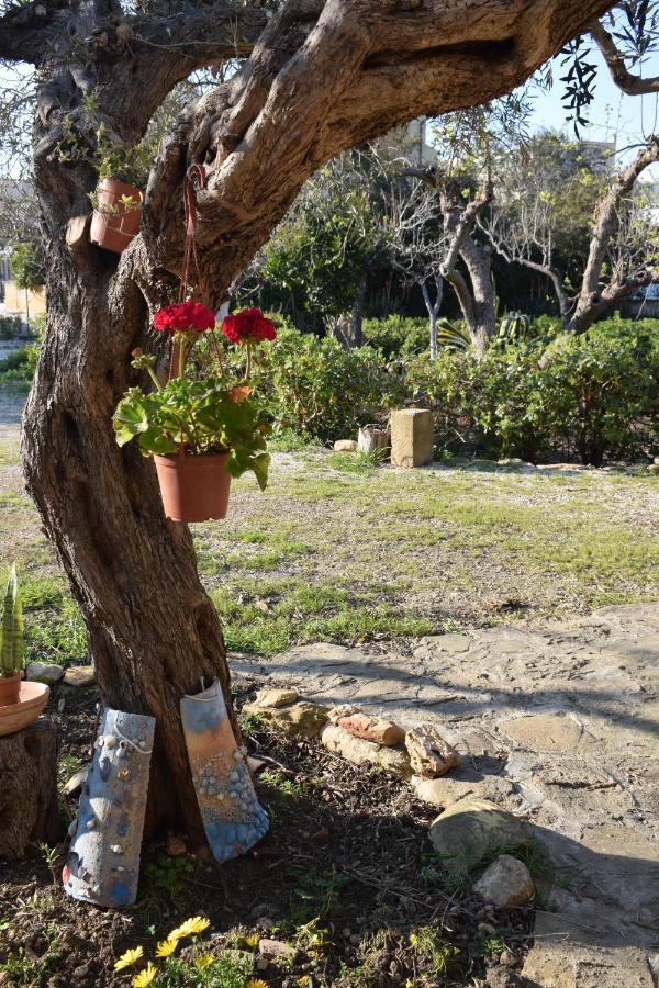 帕瑟科Casa Dell'Olio - Al Baglio别墅 外观 照片
